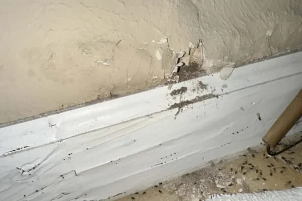 Bubbling Wall Surfaces