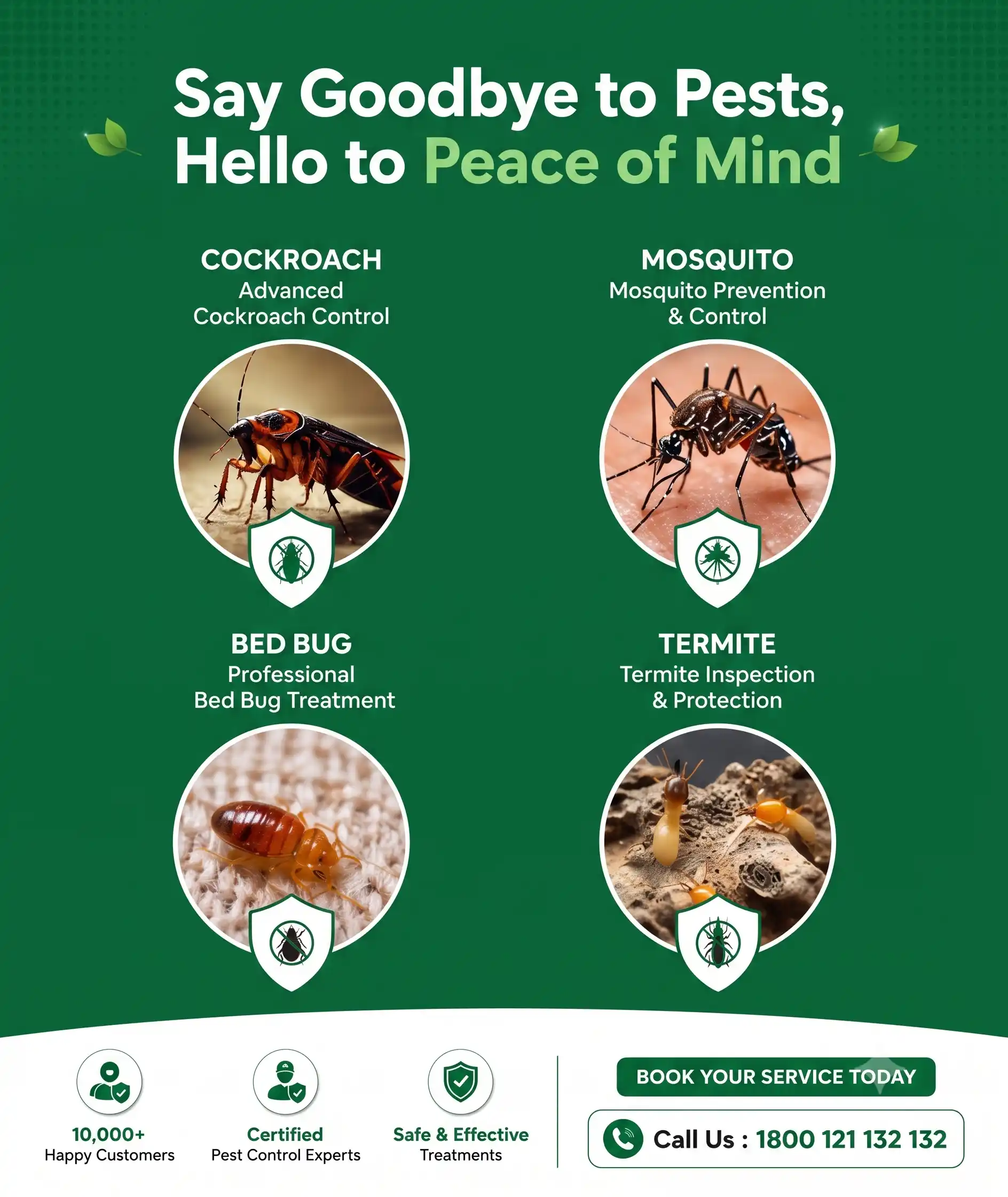 Professional Pest Control